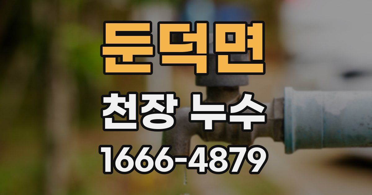 둔덕면 천장 누수