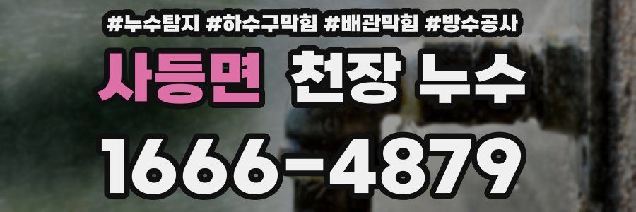사등면 천장 누수
