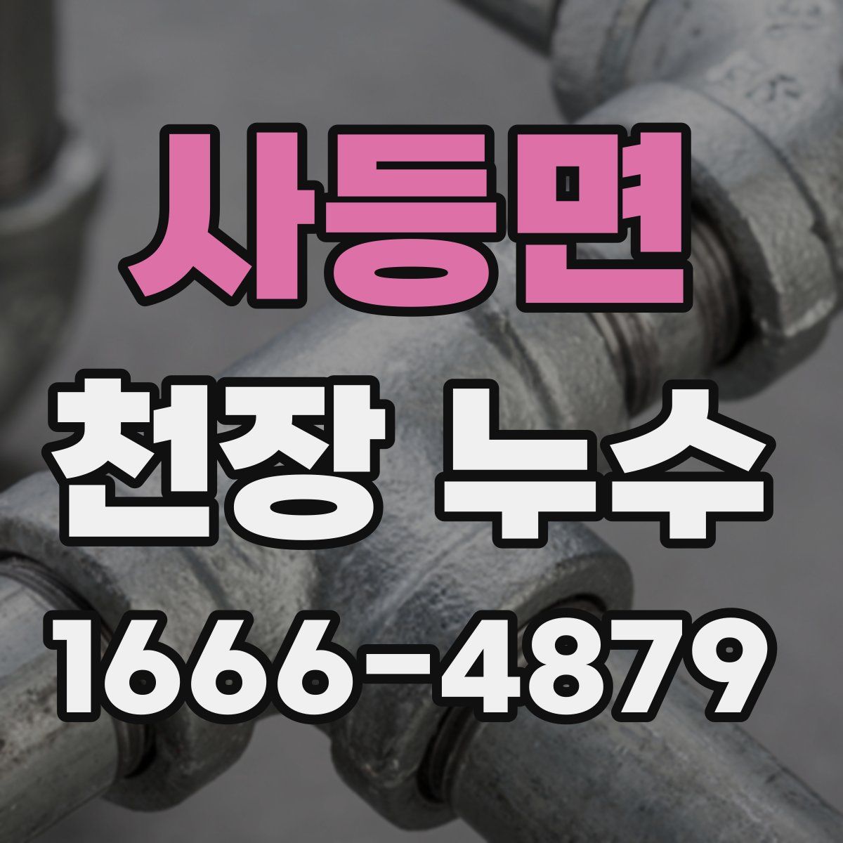 사등면 천장 누수