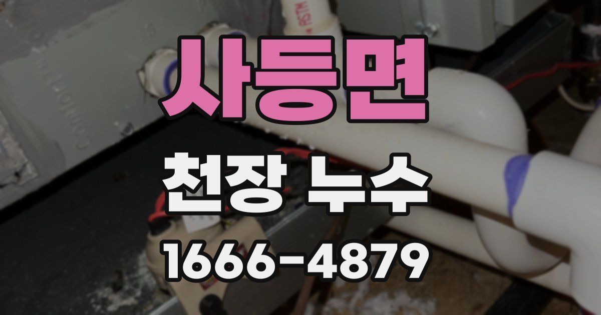 사등면 천장 누수