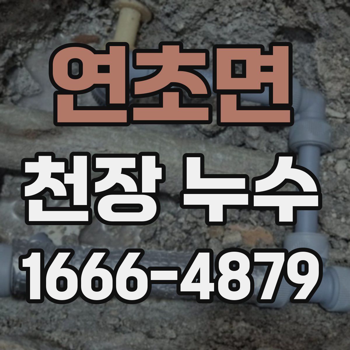 연초면 천장 누수