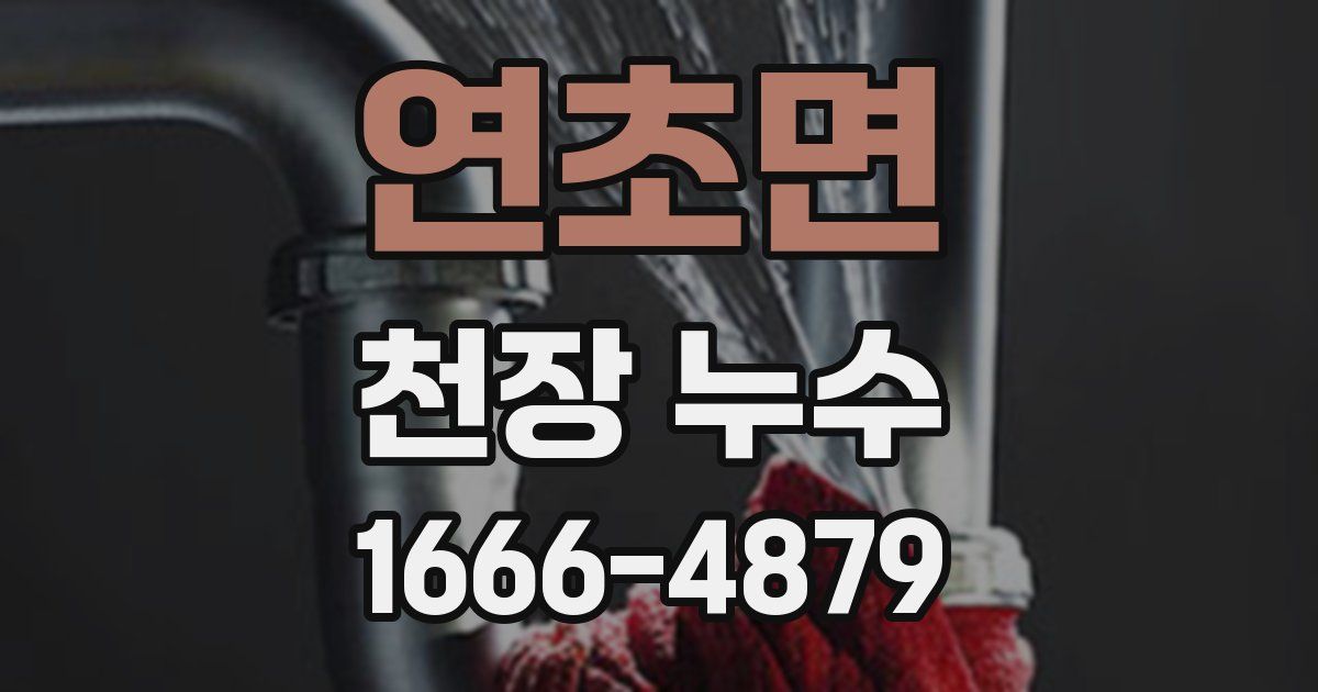 연초면 천장 누수