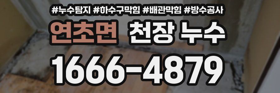 연초면 천장 누수