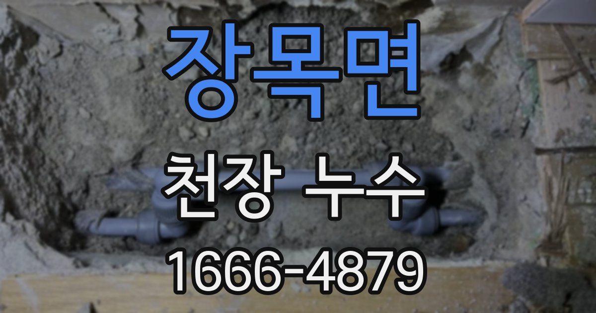 장목면 천장 누수