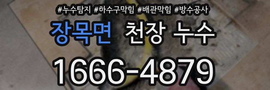 장목면 천장 누수