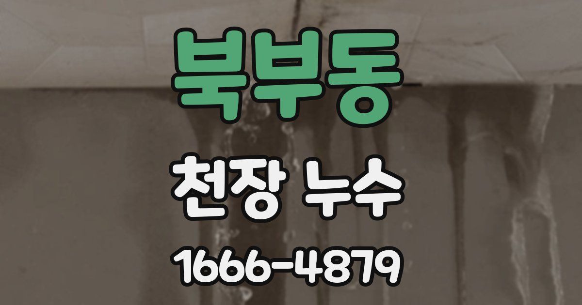 북부동 천장 누수