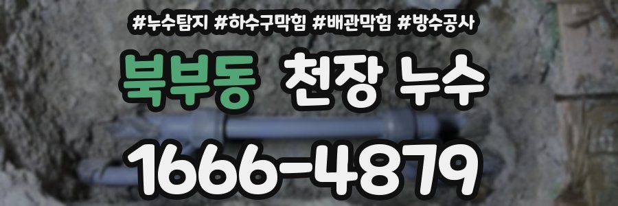 북부동 천장 누수