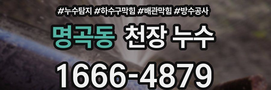 명곡동 천장 누수