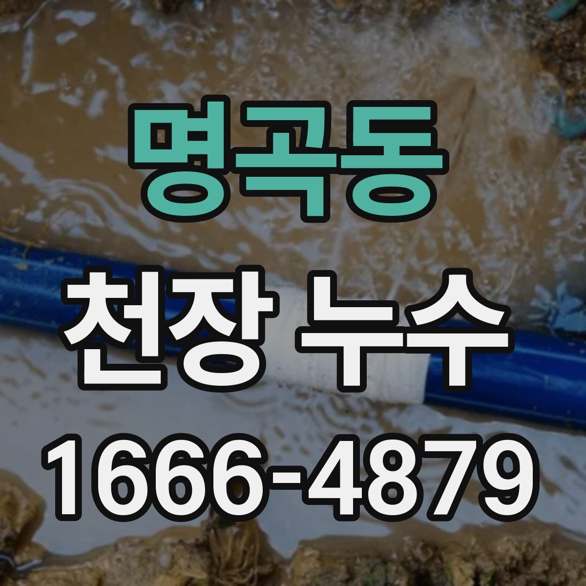 명곡동 천장 누수