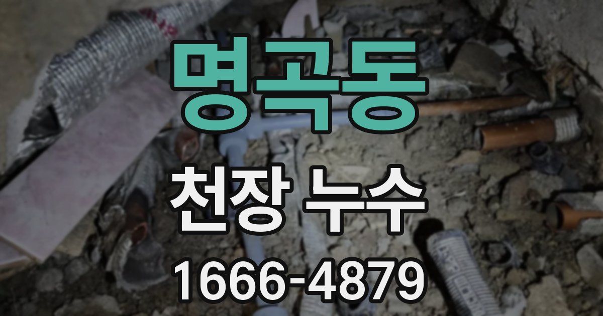 명곡동 천장 누수