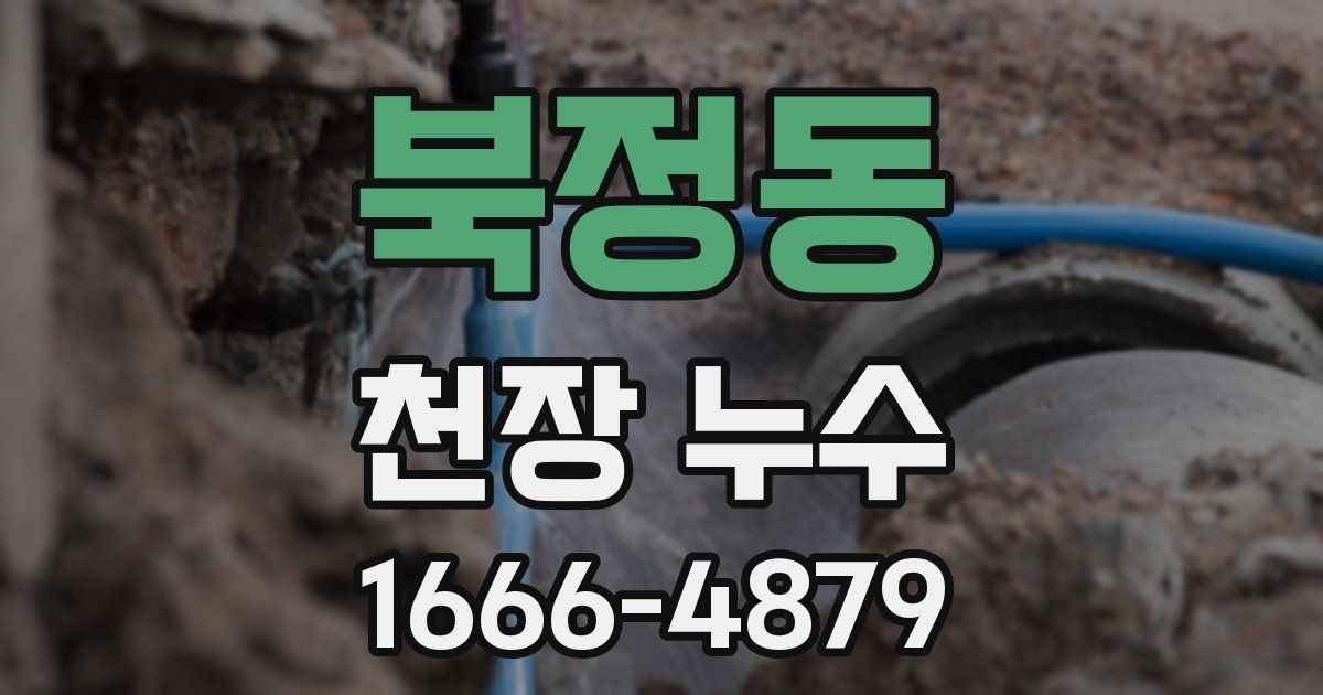 북정동 천장 누수