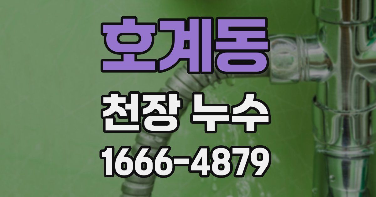 호계동 천장 누수