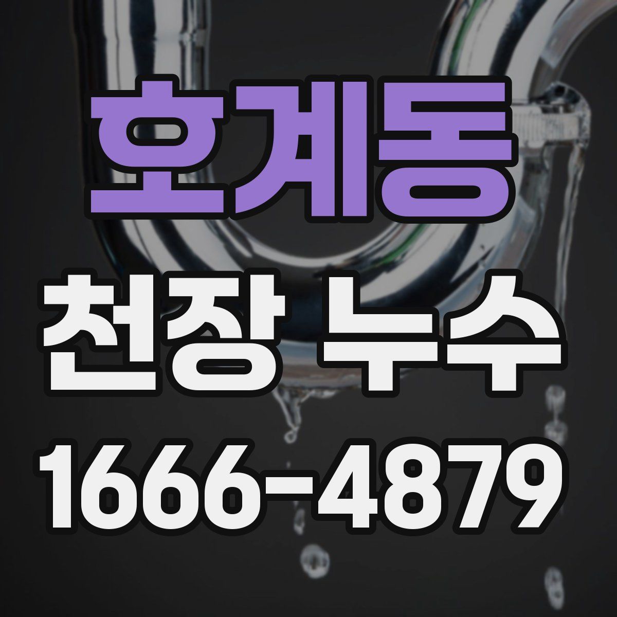 호계동 천장 누수