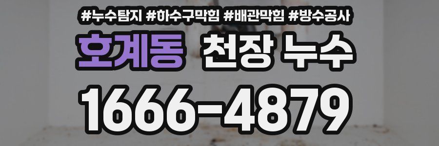 호계동 천장 누수