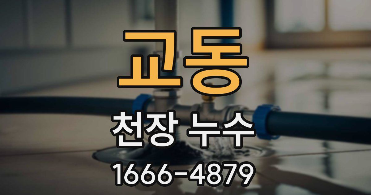 교동 천장 누수