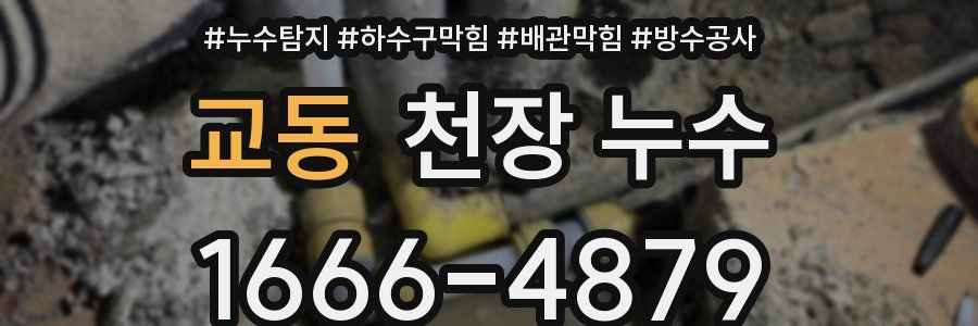 교동 천장 누수