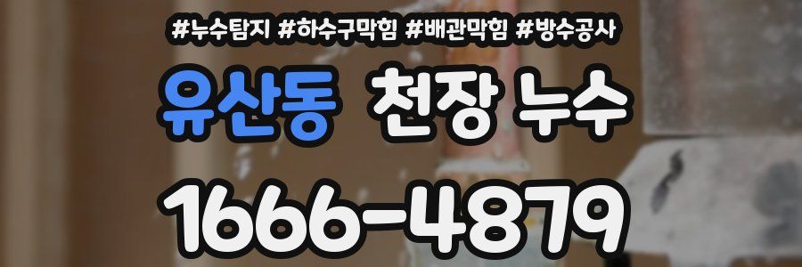 유산동 천장 누수