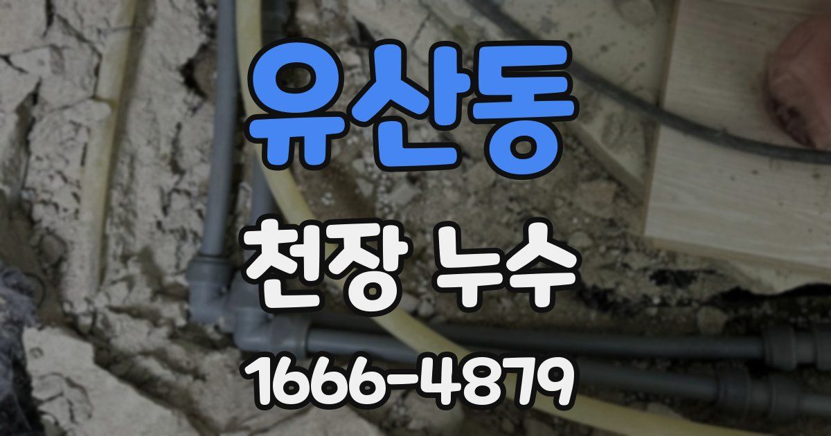 유산동 천장 누수