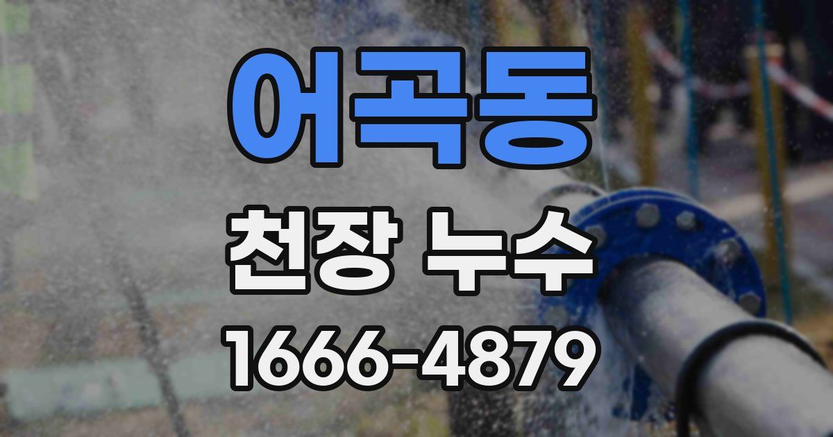어곡동 천장 누수
