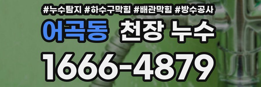 어곡동 천장 누수