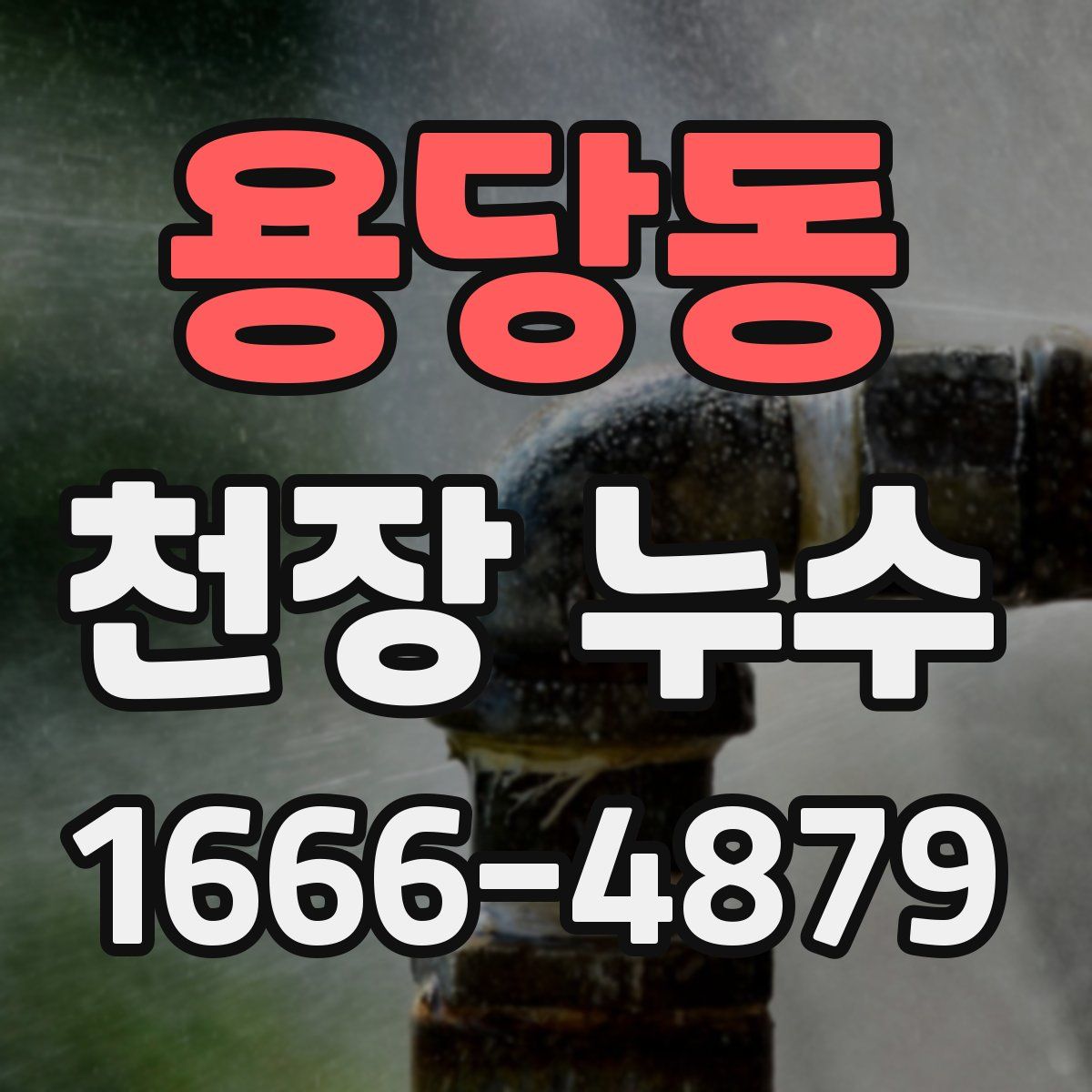 용당동 천장 누수