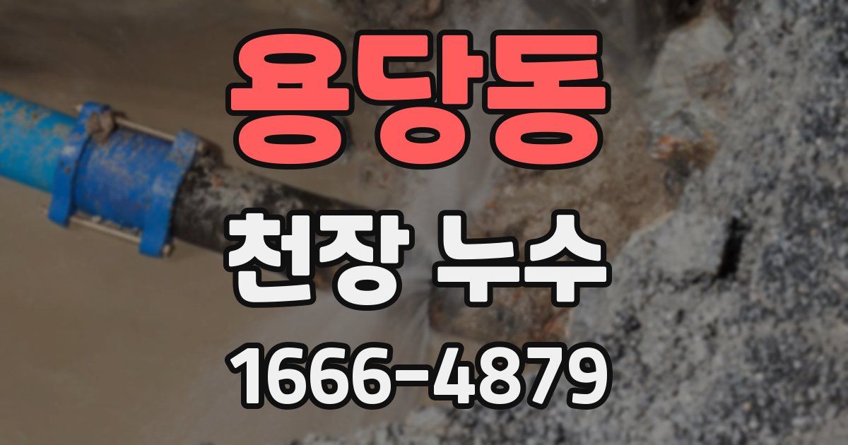 용당동 천장 누수