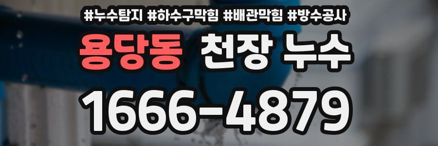 용당동 천장 누수