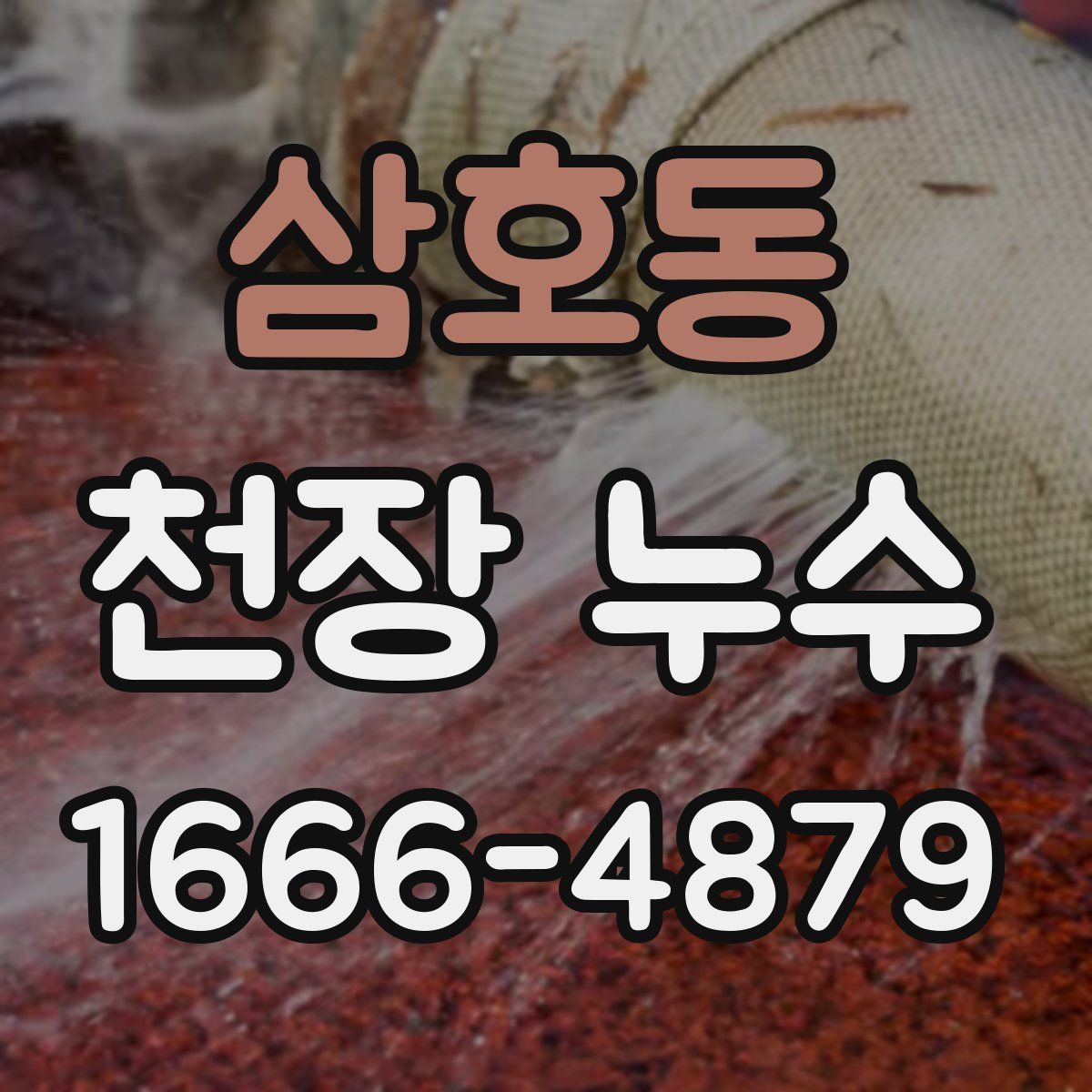 삼호동 천장 누수