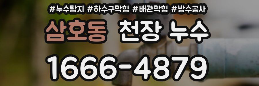 삼호동 천장 누수