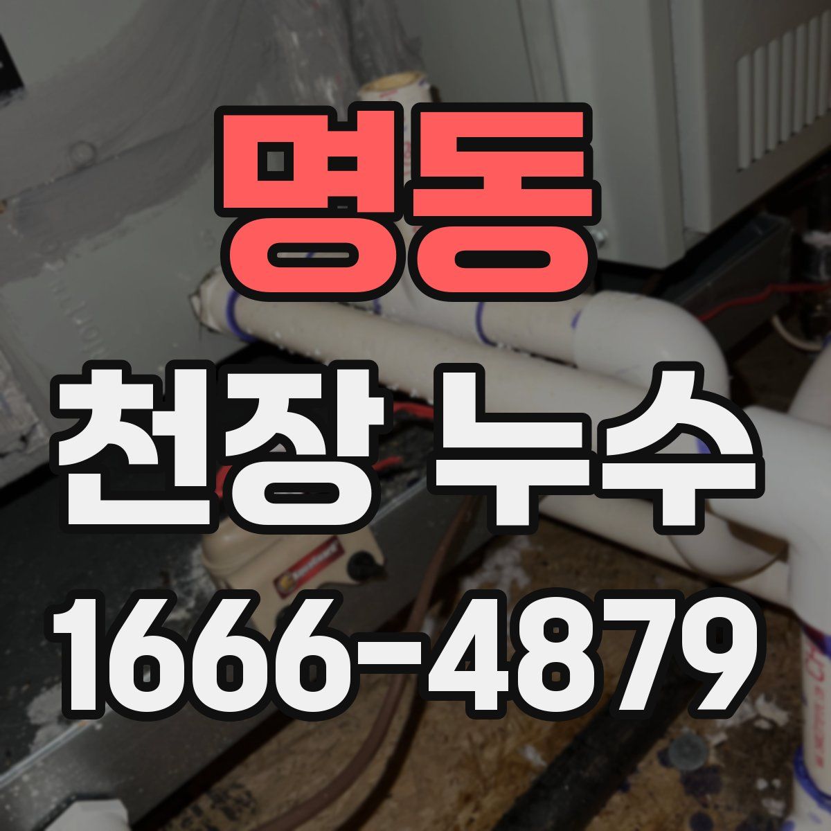 명동 천장 누수