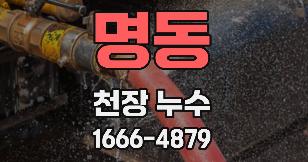 명동 천장 누수