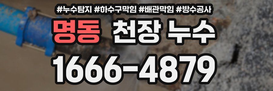 명동 천장 누수