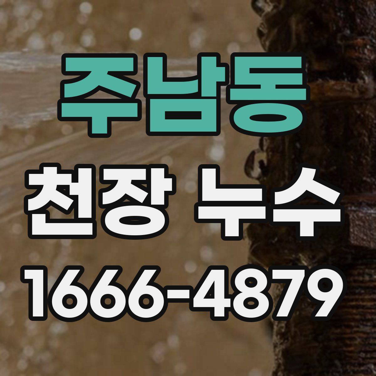주남동 천장 누수