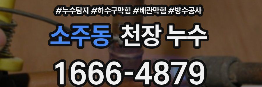 소주동 천장 누수