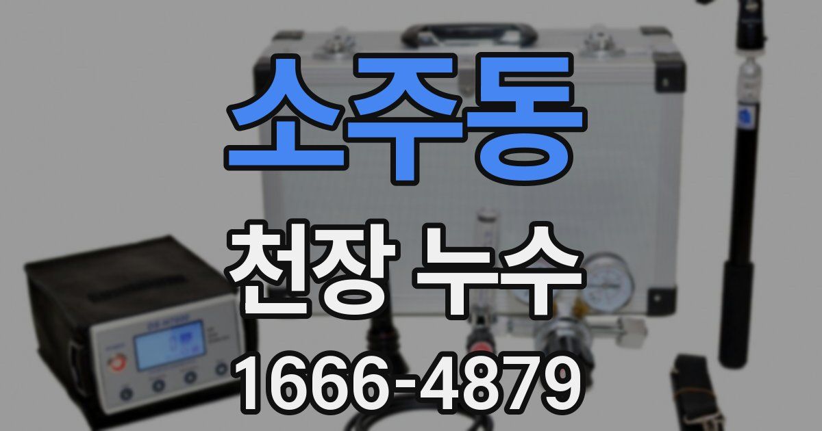 소주동 천장 누수