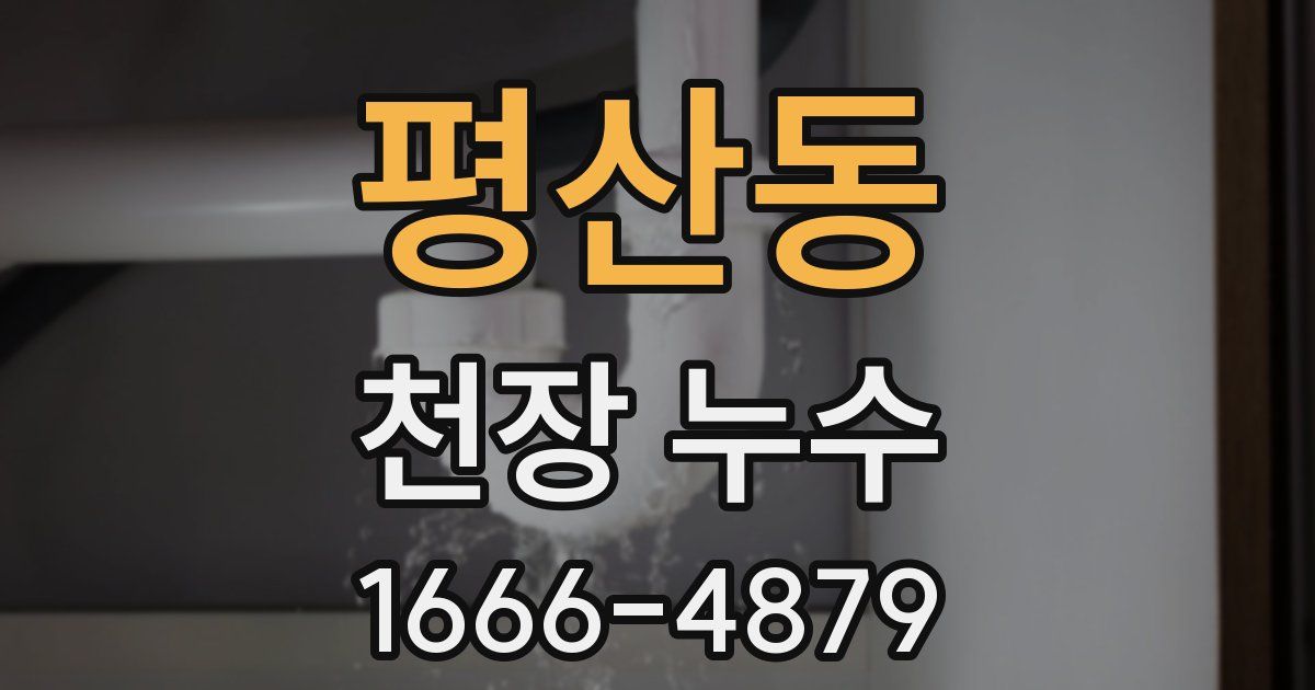 평산동 천장 누수