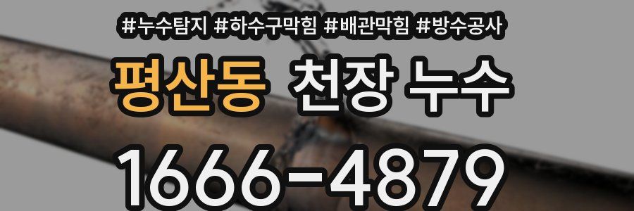 평산동 천장 누수