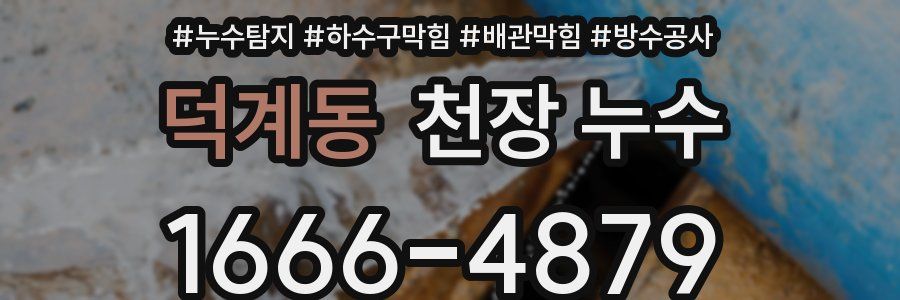 덕계동 천장 누수