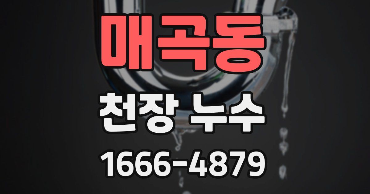 매곡동 천장 누수
