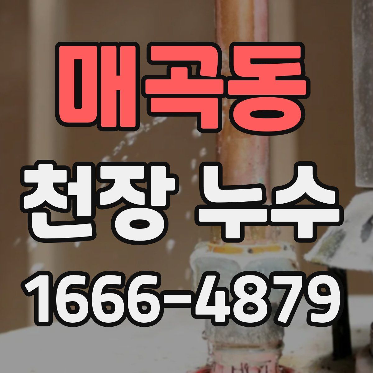 매곡동 천장 누수