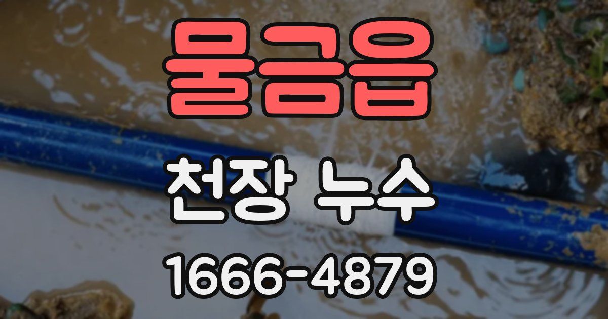 물금읍 천장 누수
