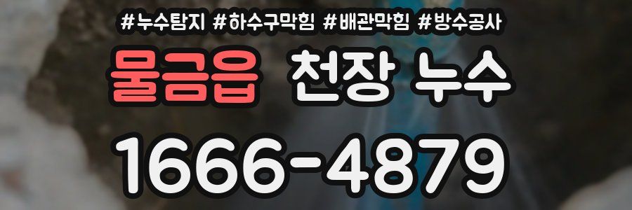 물금읍 천장 누수