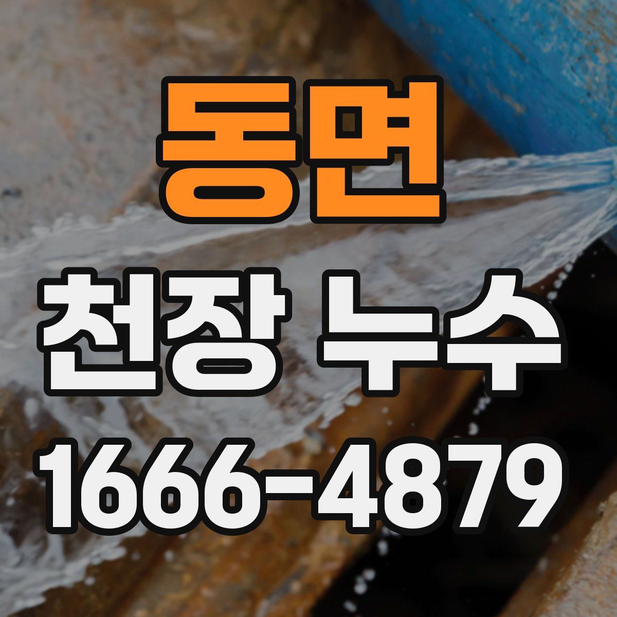 동면 천장 누수