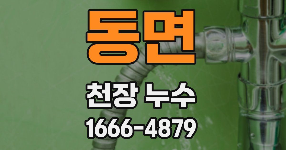 동면 천장 누수