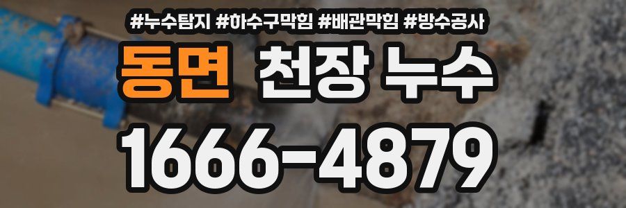 동면 천장 누수