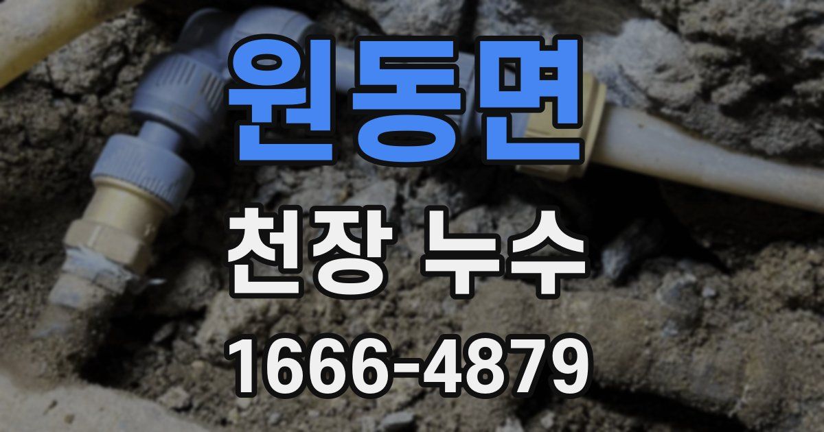 원동면 천장 누수