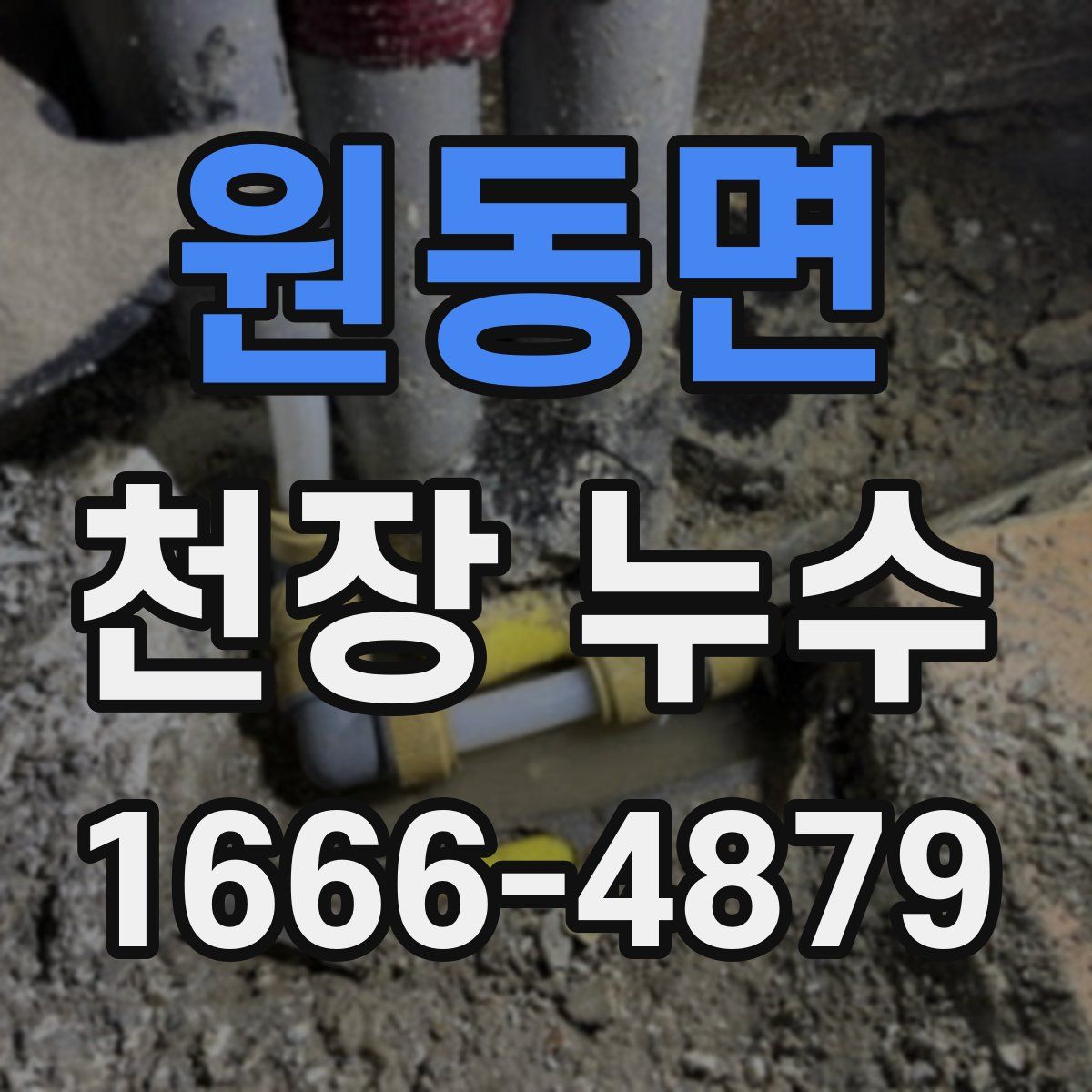 원동면 천장 누수