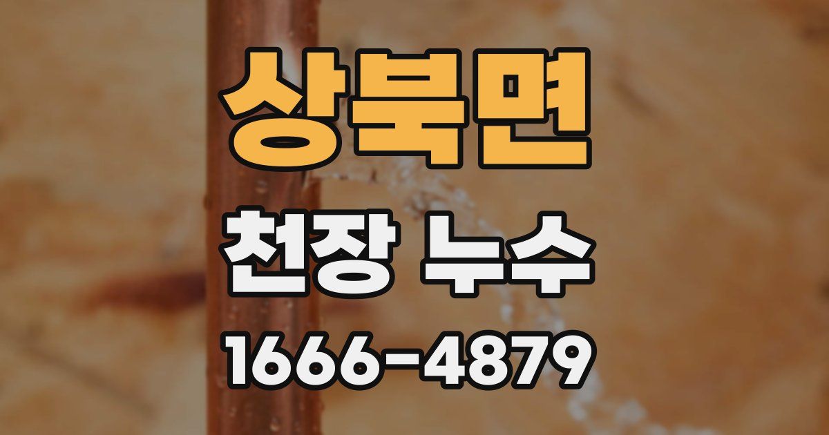 상북면 천장 누수