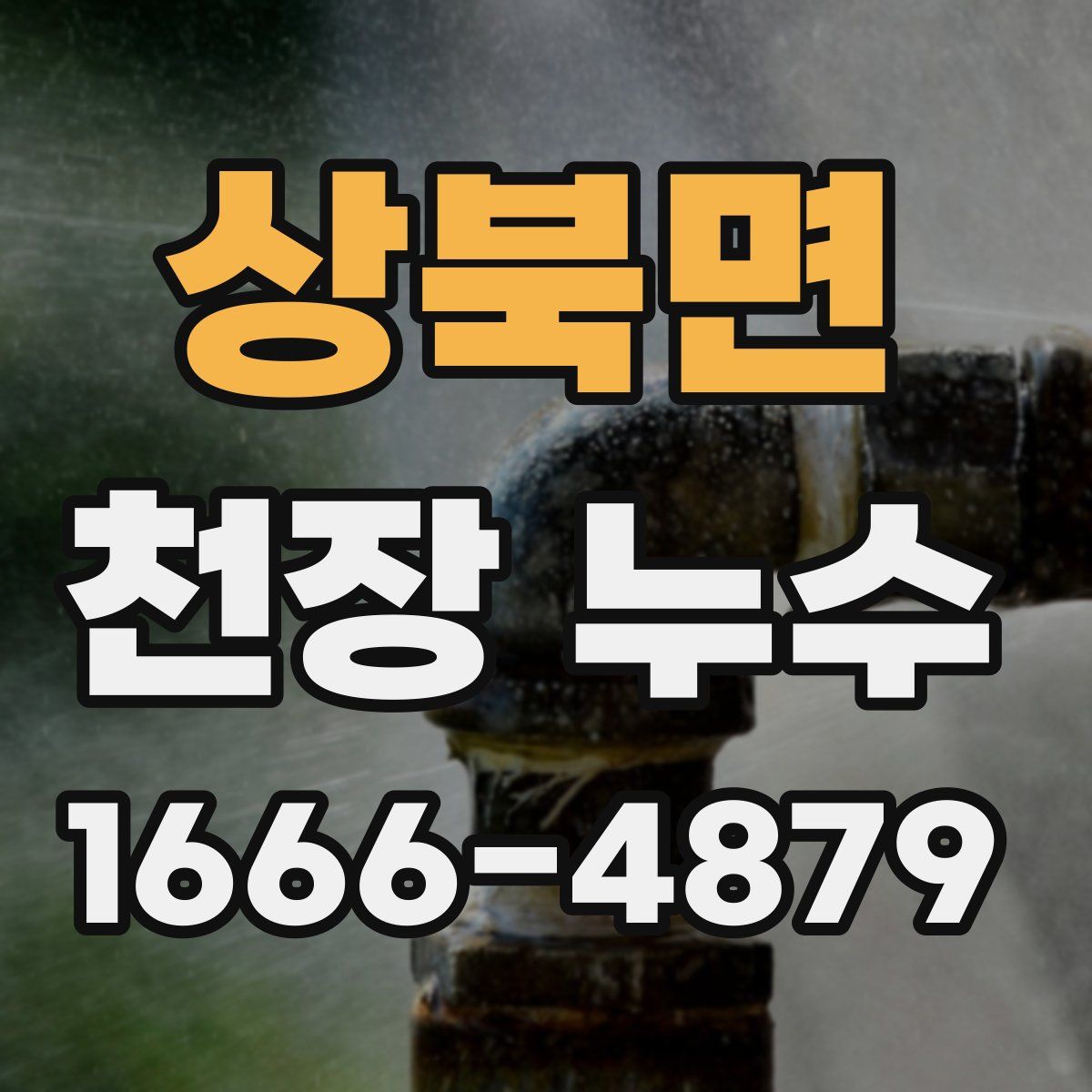상북면 천장 누수