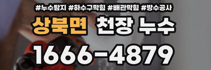 상북면 천장 누수